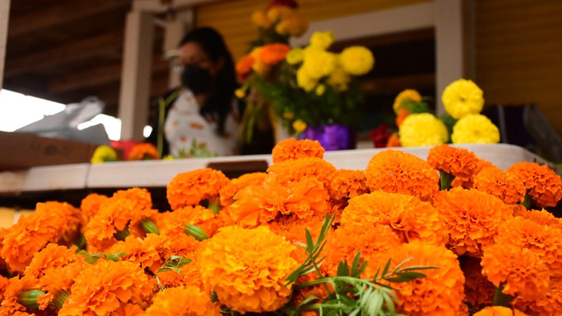 Feature Plant Friday – Celebrating El Día de los Muertos with Marigolds