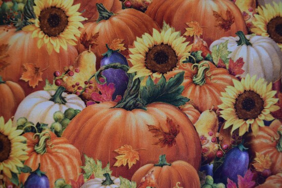 Feature Plant Friday – Giving Thanks with Pumpkins